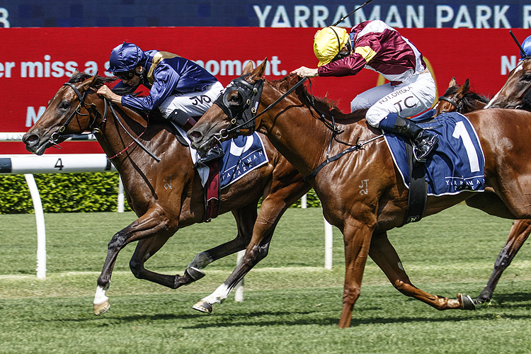 GLISTENING winning the Yarraman Park Reisling Stks