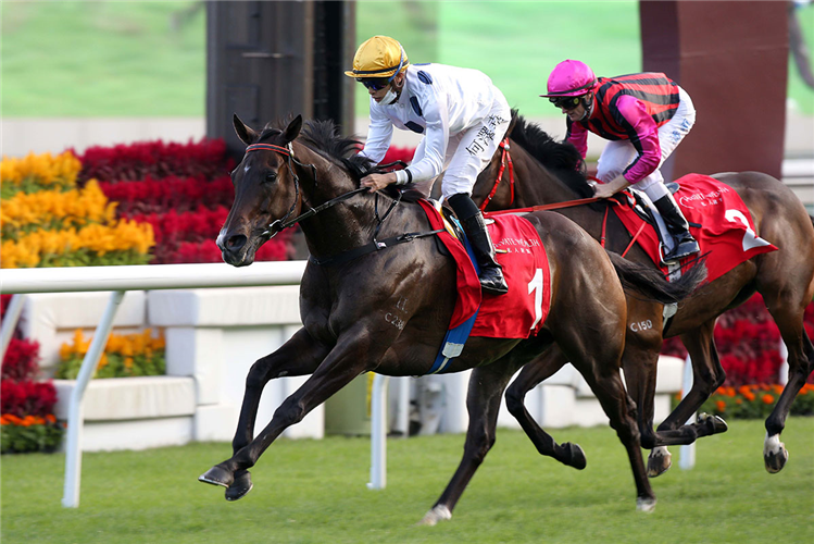 GOLDEN SIXTY winning the Bochk Private Wealth Jc Mile