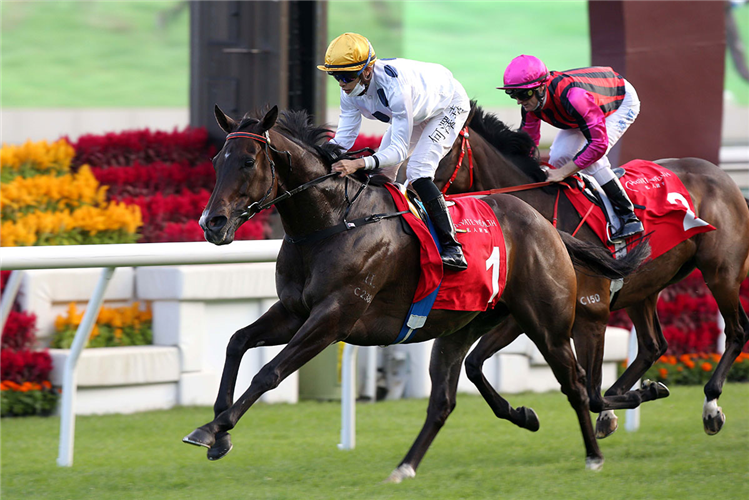 GOLDEN SIXTY winning the JC Mile.