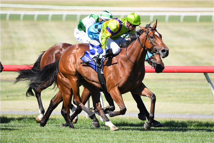 GOOD AND PROPER winning the The Big Screen Company Handicap at Ladbrokes Park Lakeside in Springvale, Australia.