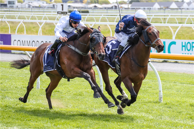 Grace’s Secret (inner) and Stimulant battle out a desperate finish at Riccarton