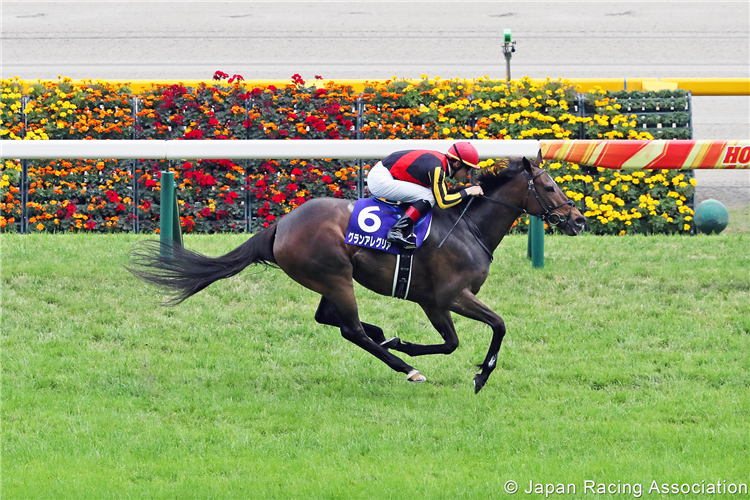 GRAN ALEGRIA winning the Victoria Mile at Tokyo in Japan.