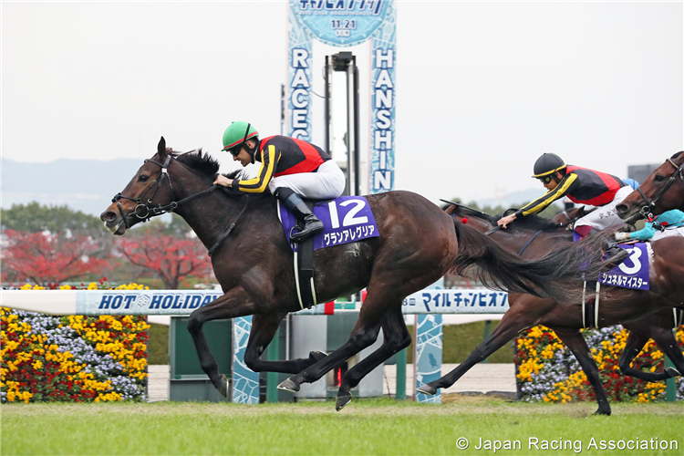 GRAN ALEGRIA winning the Mile Championship at Hanshin in Japan.