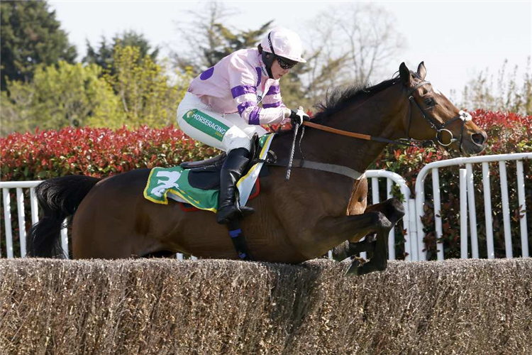 GREANETEEN winning the bet365 Celebration Chase (Grade 1) (GBB Race)