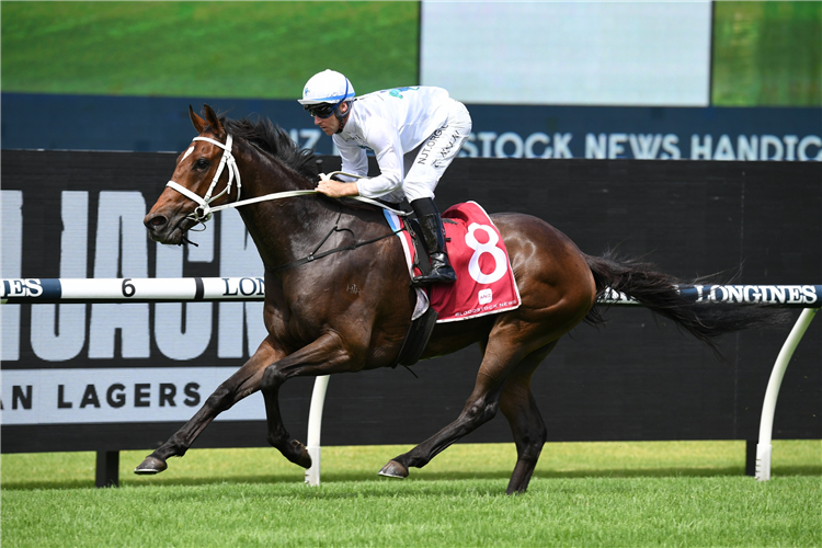 GREAT HOUSE winning the Anz Bloodstock News (Bm78) at Rosehill in Austrailia.