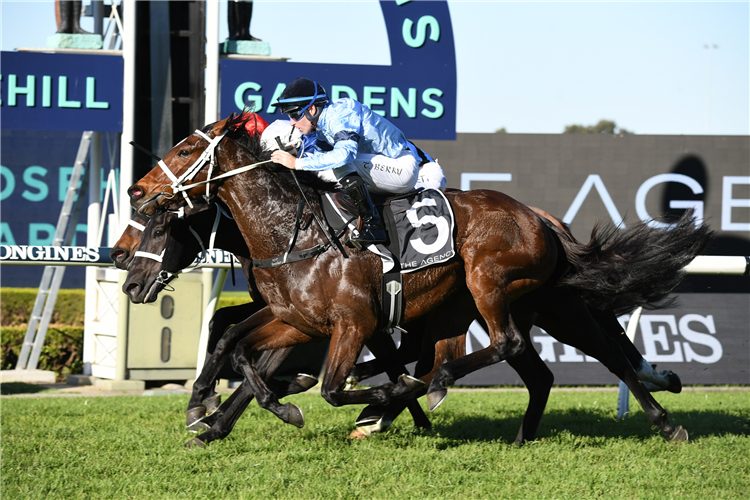 GREAT HOUSE winning the Agency Real Estate Handicap at Rosehill in Australia.