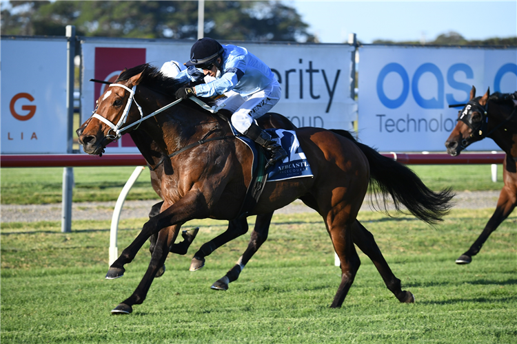 GREAT HOUSE winning the Newcastle Cup at Newcastle in Australia.
