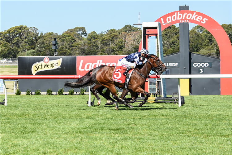 GRINZINGER ALLEE winning the Odds Boost Hcp at Sandown Hillside in Australia.