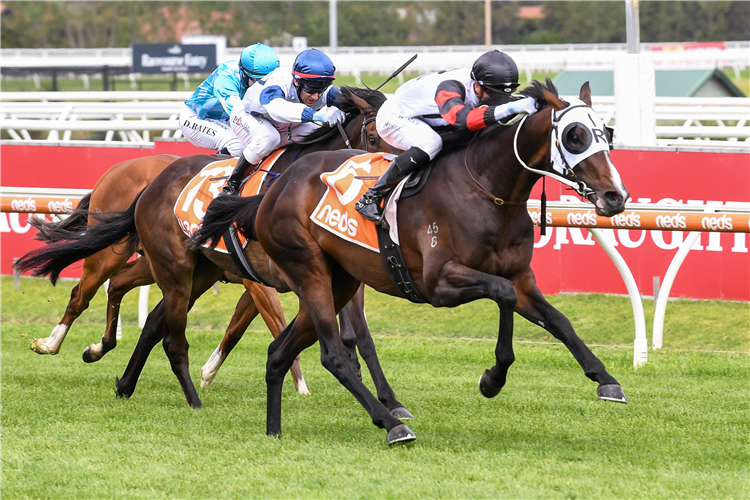 GUNSTOCK winning the Neds Classic at Caulfield in Australia.