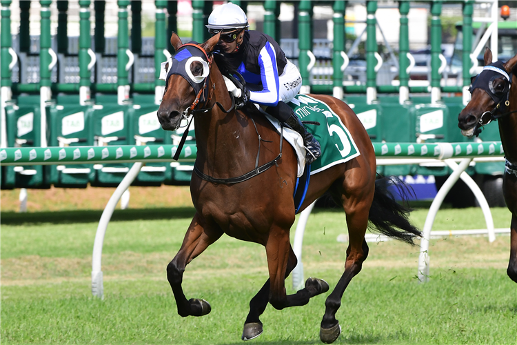 GYPSY GODDESS winning the Ascot Green Grand Prix Stakes