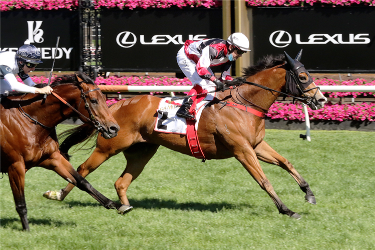 HALVORSEN winning the G.h. Mumm Century Stakes at Flemington in Australia.