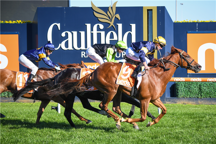 HANG MAN winning the Easter Cup at Caulfield in Australia.