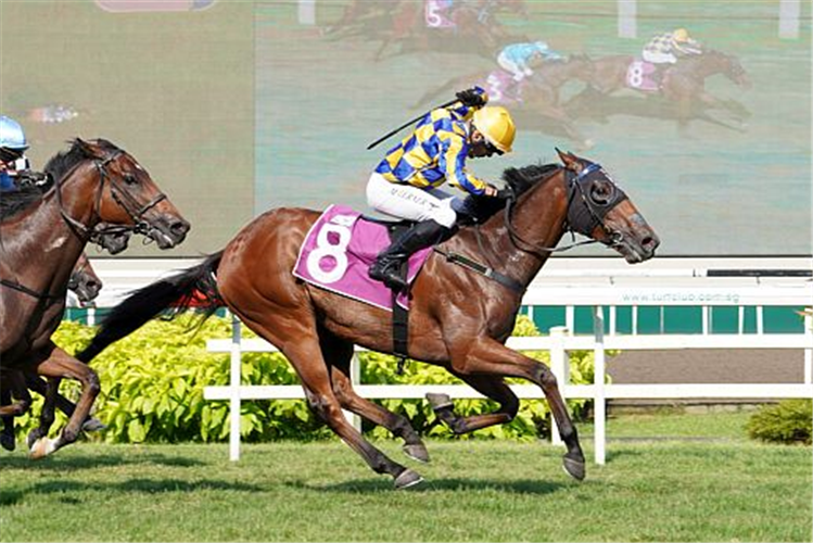 HARD TOO THINK winning the SINGAPORE DERBY GROUP 1