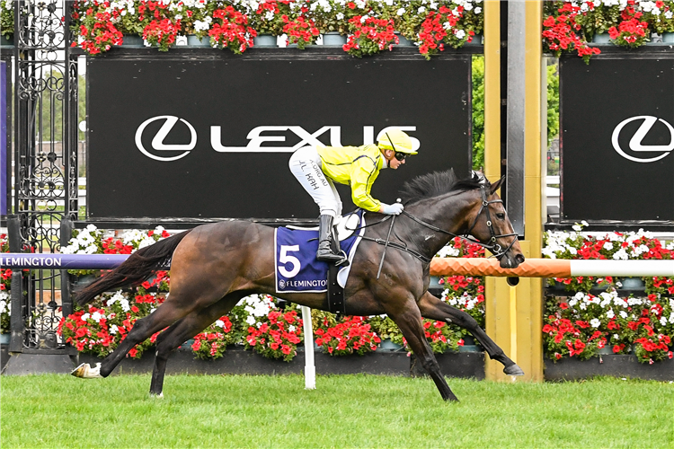 HASSELTOFF winning the Off The Track Program Hcp at Flemington in Australia.