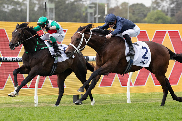 HEAD OF STATE winning the Acy Securities Gloaming Stks