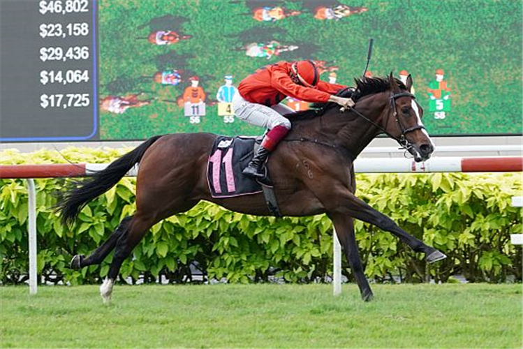 HEARTENING FLYER winning the FORTUNE OX STAKES CLASS 3