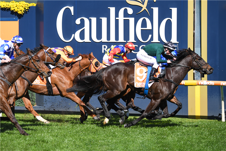 HE'S A BALTER winning the Volvo Cars Brighton Handicap at Caulfield in Australia.