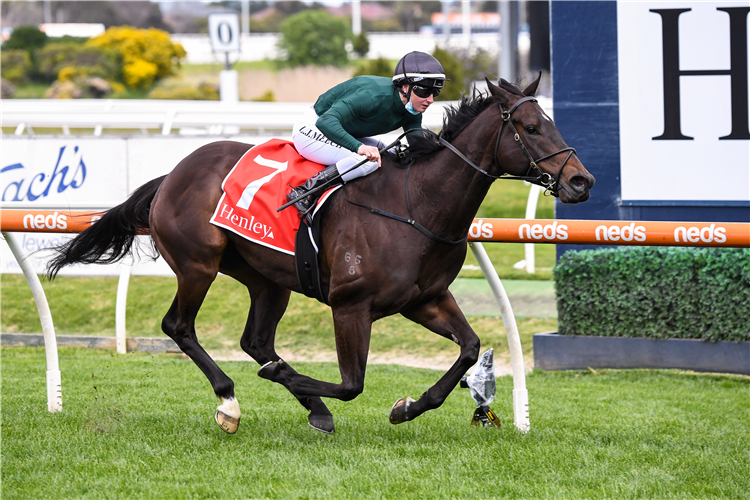 HE'S A BALTER winning the Henley Homes for RPC Hcp at Caulfield in Australia.