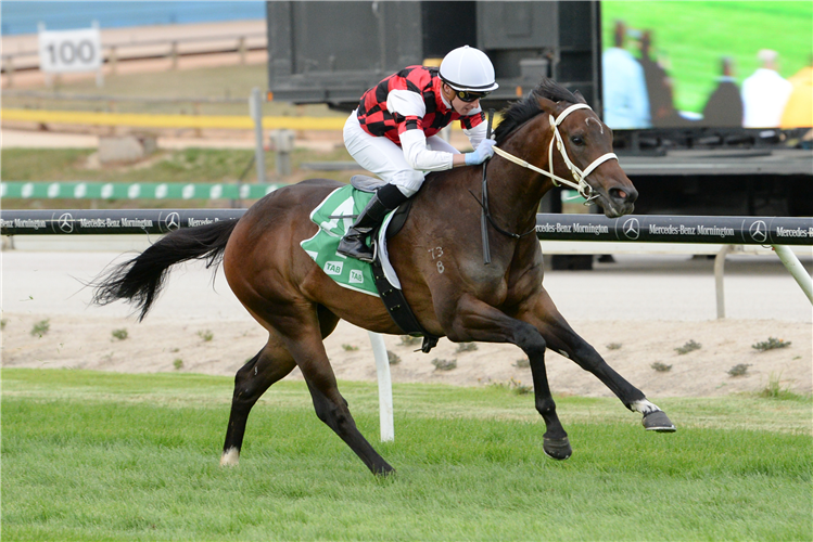 HE'S XCEPTIONAL winning the Core Protective Group Two-Years-Old Maiden Plate in Cranbourne, Australia.