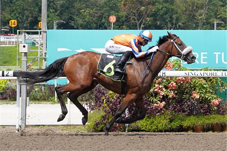 HIDDEN PROMISE winning the QUECHUA 2015 STAKES CLASS 5