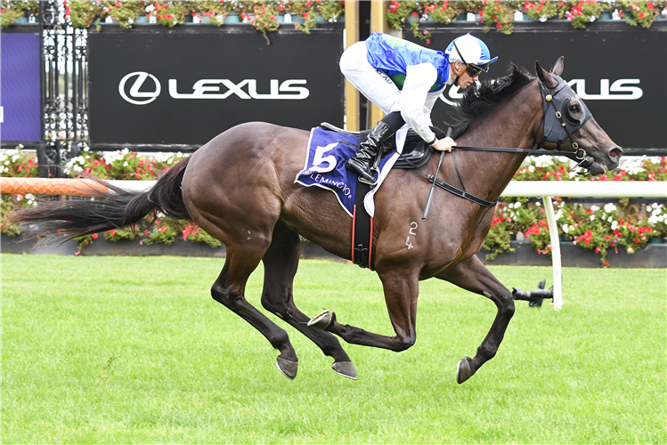 HIGH 'N' DRY winning the Summer Twilight Racing at Flemington in Australia.