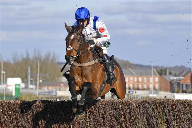 HITMAN winning the BetVictor Novices' Chase