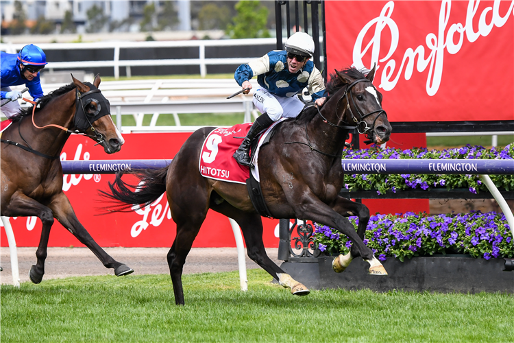 HITOTSU winning the Victoria Derby at Flemington in Australia.