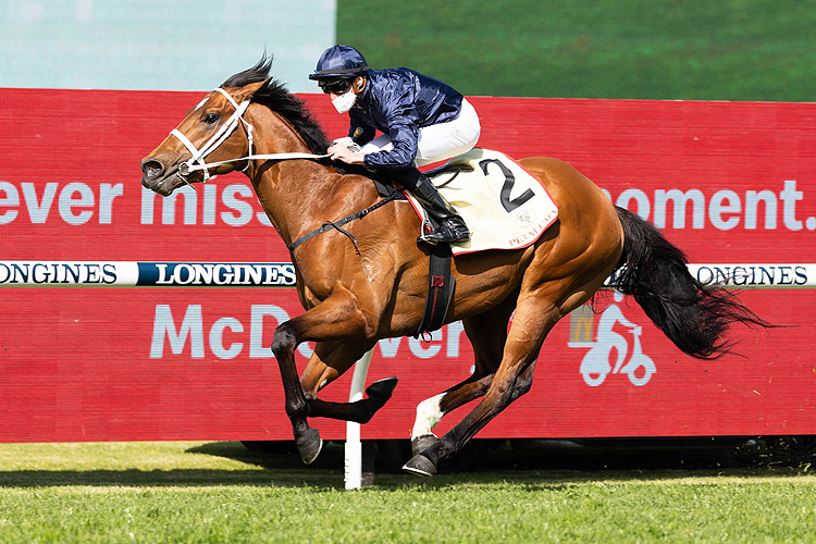 HOME AFFAIRS winning the Petaluma Heritage Stks