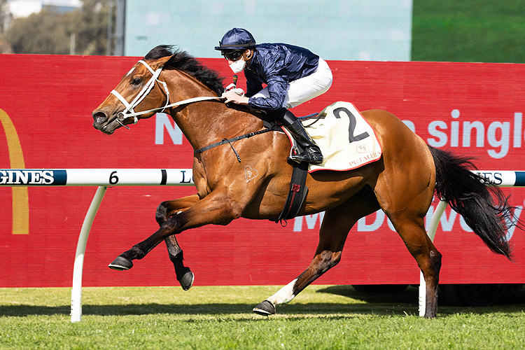 HOME AFFAIRS winning the Petaluma Heritage Stks