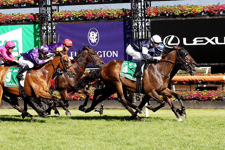 HOMESMAN winning the Tab Australian Cup