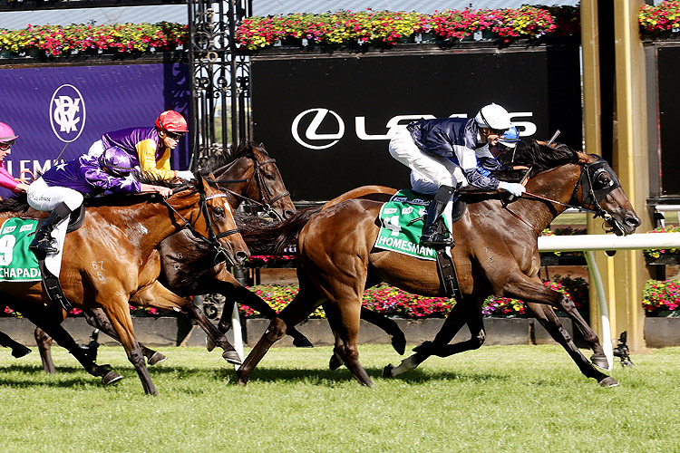 HOMESMAN winning the Tab Australian Cup