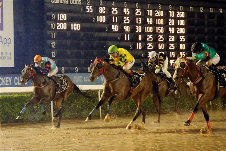 HONEY BISCUIT(outside) winning the THE SACRAMENTO