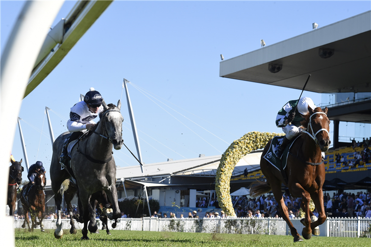 HUNGRY HEART winning the Vinery Stud Stks at Rosehill in Australia.