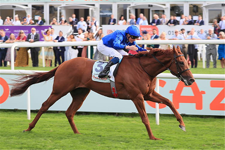 HURRICANE LANE winning the St Leger Stakes.