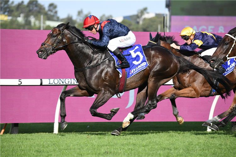 I AM SUPERMAN winning the Hyland Race Colours Ajax Stks at Rosehill in Australia.