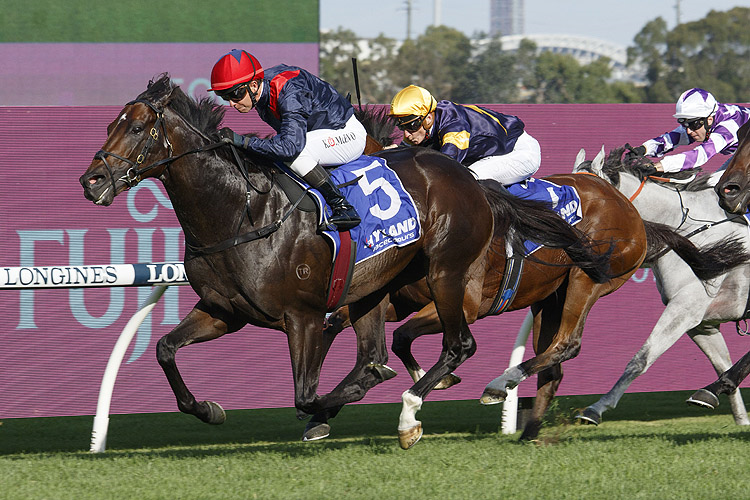 I AM SUPERMAN winning the Hyland Race Colours Ajax Stks