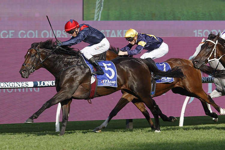 I AM SUPERMAN winning the Hyland Race Colours Ajax Stks