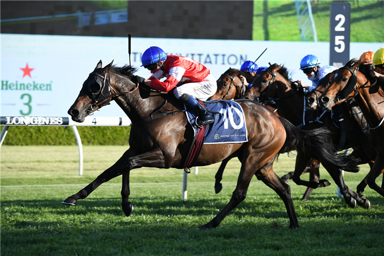 ICEBATH winning the The Invitation at Randwick in Australia.