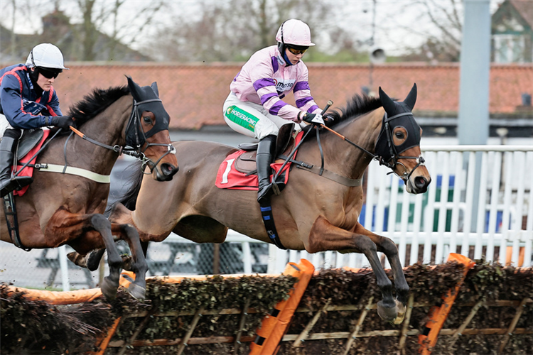 ICEO winning the Ladbrokes We Play Together Introductory Juvenile Hurdle (GBB Race)