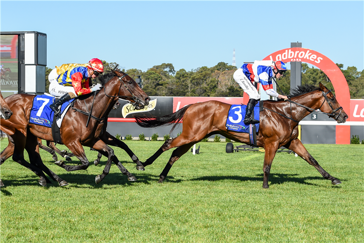 IDIDITFORLOVE winning the Big Screen Company Hcp at Sandown Hillside in Australia.