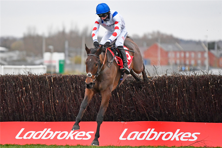 IL RIDOTO winning the Watch Racing Free Online At Ladbrokes Handicap Chase (For The Jim Joel Memorial Trophy) (GBB Race)