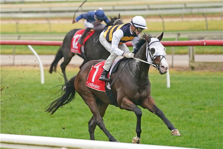 I'M THUNDERSTRUCK winning the Max Blakiston / Ian Rees Class 1 Handicap in Sale, Australia.