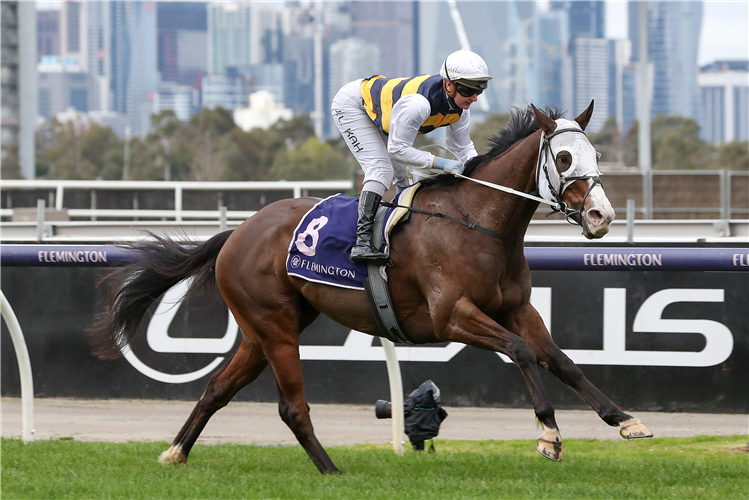 I'M THUNDERSTRUCK winning the K.A. Morrison Hcp at Flemington in Australia.