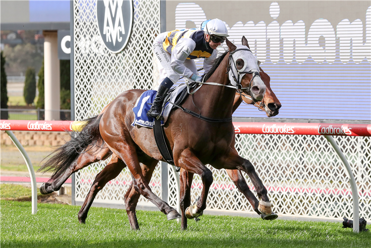 I'M THUNDERSTRUCK winning the Dominant Cleaning Solution Hcp at Moonee Valley in Australia.