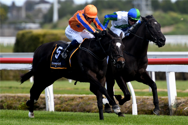 IMPERATRIZ winning the Northland Breeders' Stakes