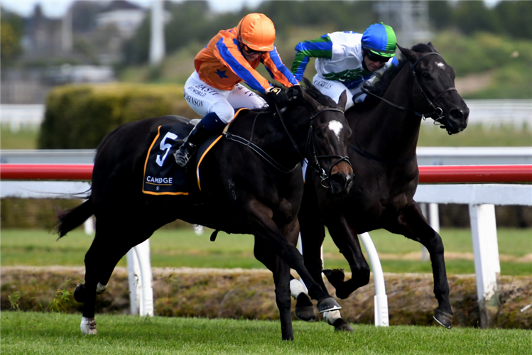 IMPERATRIZ winning the Northland Breeders' Stakes beating I Wish I Win