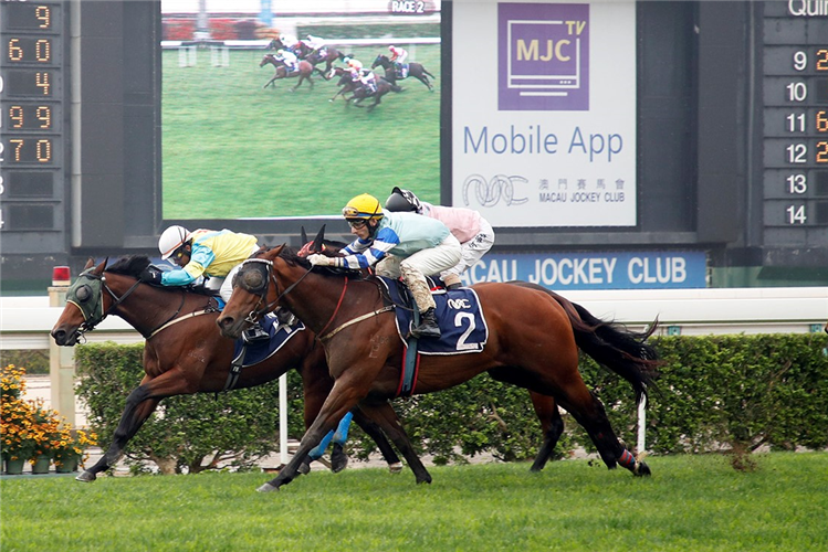 IMPERIAL EAGLE(outside) winning the THE OSASCO