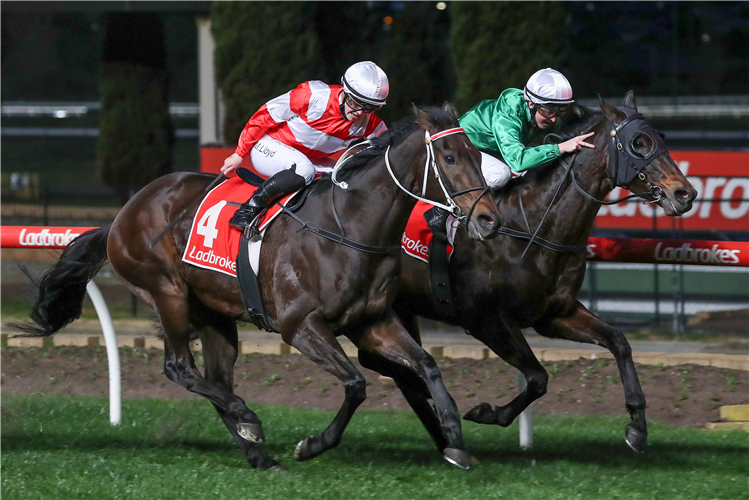 IMPERIAL LAD (R) winning the Ladbroke It Hcp at Moonee Valley in Australia.