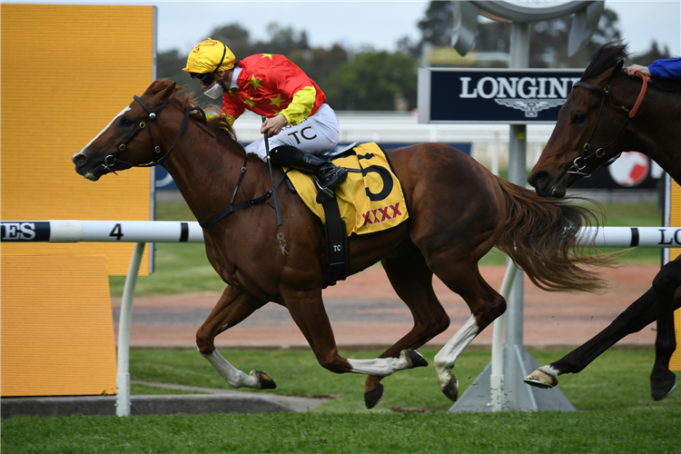 IN THE CONGO winning the Golden Rose at Rosehill in Australia.