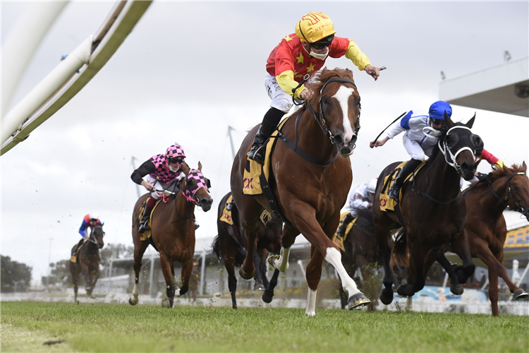 IN THE CONGO winning the XXXX Golden Rose at Rosehill in Australia.